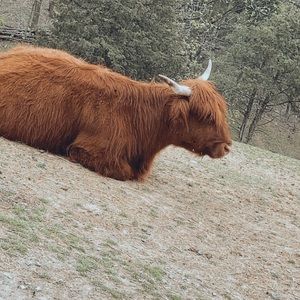 Meet your Posher, Caden